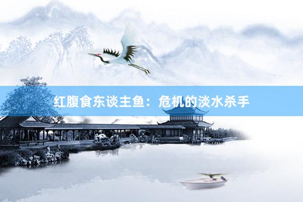 红腹食东谈主鱼：危机的淡水杀手