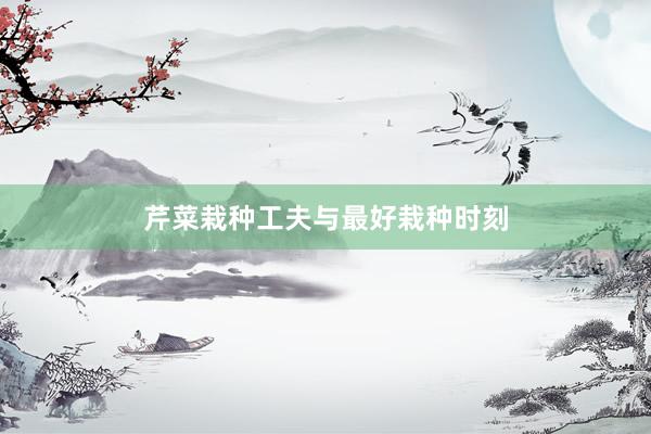 芹菜栽种工夫与最好栽种时刻