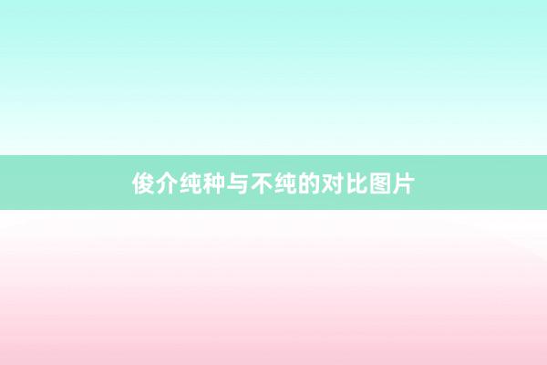 俊介纯种与不纯的对比图片
